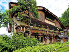 Superb Savoyard traditional chalet located 500 m from the slopes Peisey-Nancroix